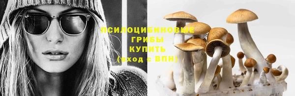 каннабис Алексин