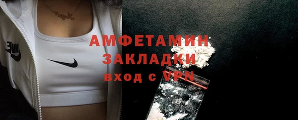 ГАЛЛЮЦИНОГЕННЫЕ ГРИБЫ Алзамай