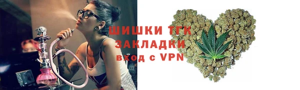 ПСИЛОЦИБИНОВЫЕ ГРИБЫ Горно-Алтайск