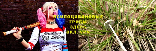 каннабис Алексин