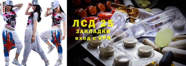 ГАЛЛЮЦИНОГЕННЫЕ ГРИБЫ Алзамай