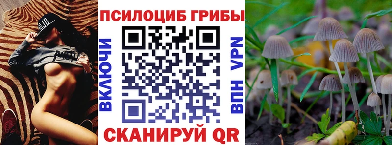 Псилоцибиновые грибы мухоморы  shop Telegram  Морозовск  мега сайт 