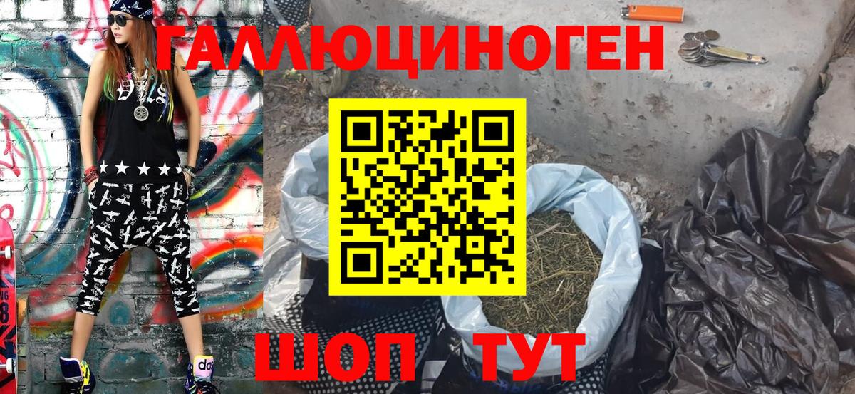 Галлюциногенные грибы Cubensis Морозовск