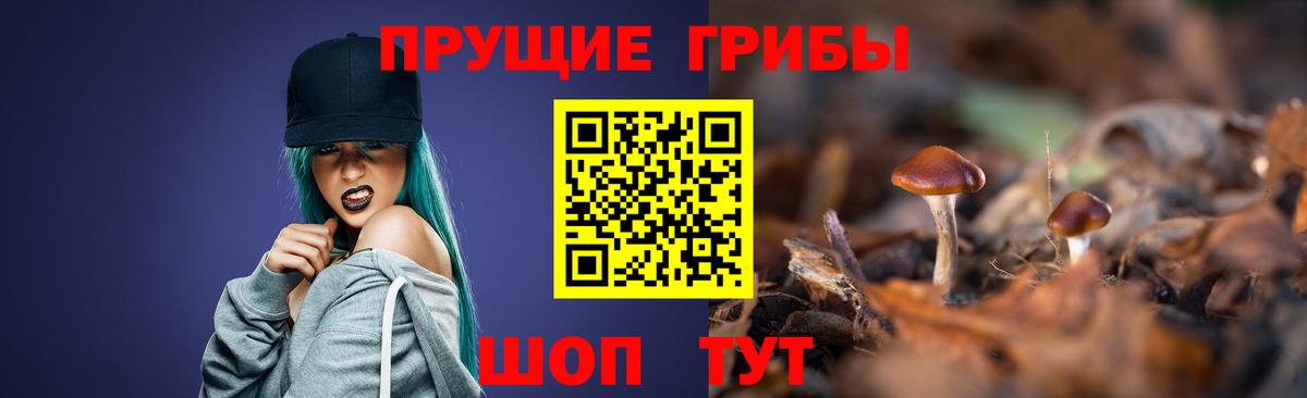Морозовск  Псилоцибиновые грибы Magic Shrooms  Вход с VPN 